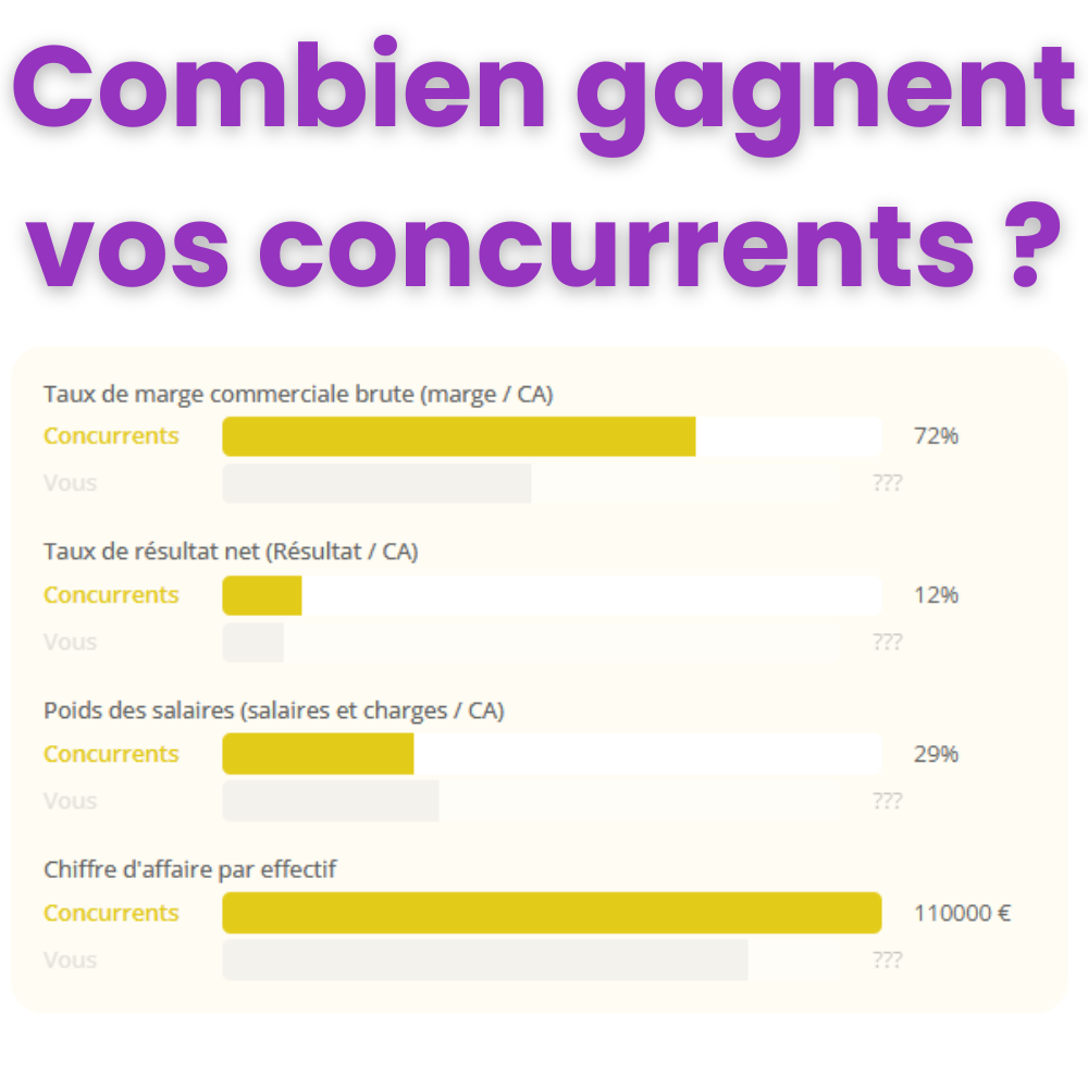 Graphique comparatif montrant le taux de marge commerciale et le poids des salaires d'une TPE face à la moyenne de son secteur d'activité.