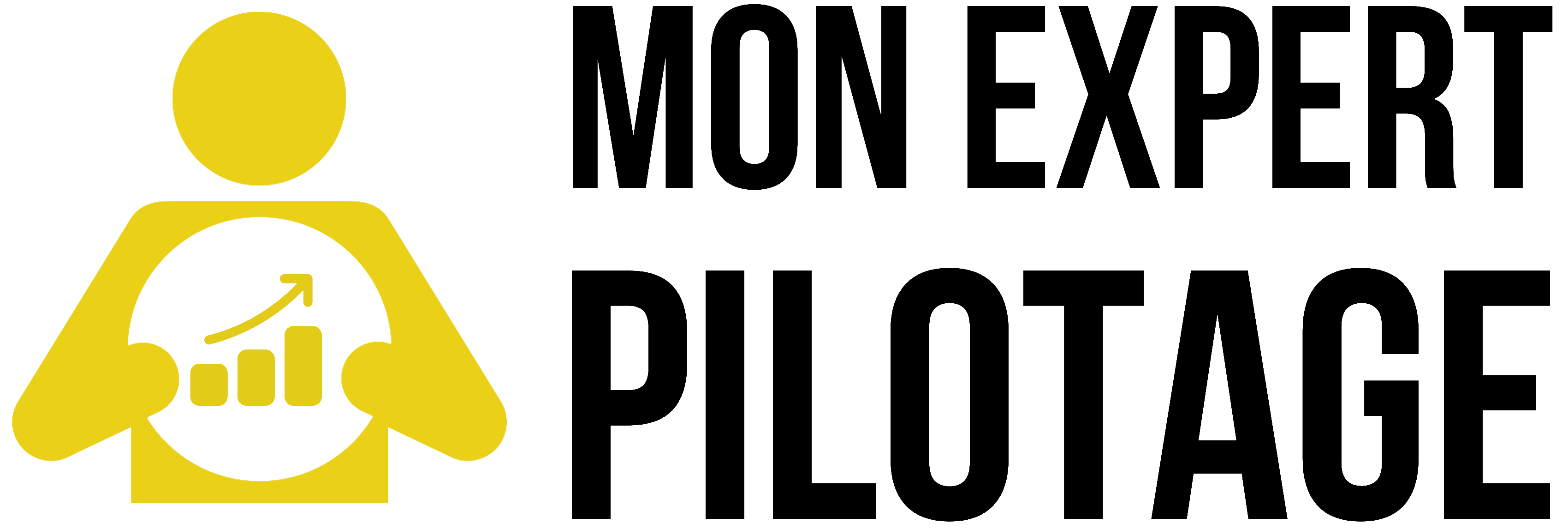 Logo de mon-expert-pilotage.fr Formation entrepreneurs