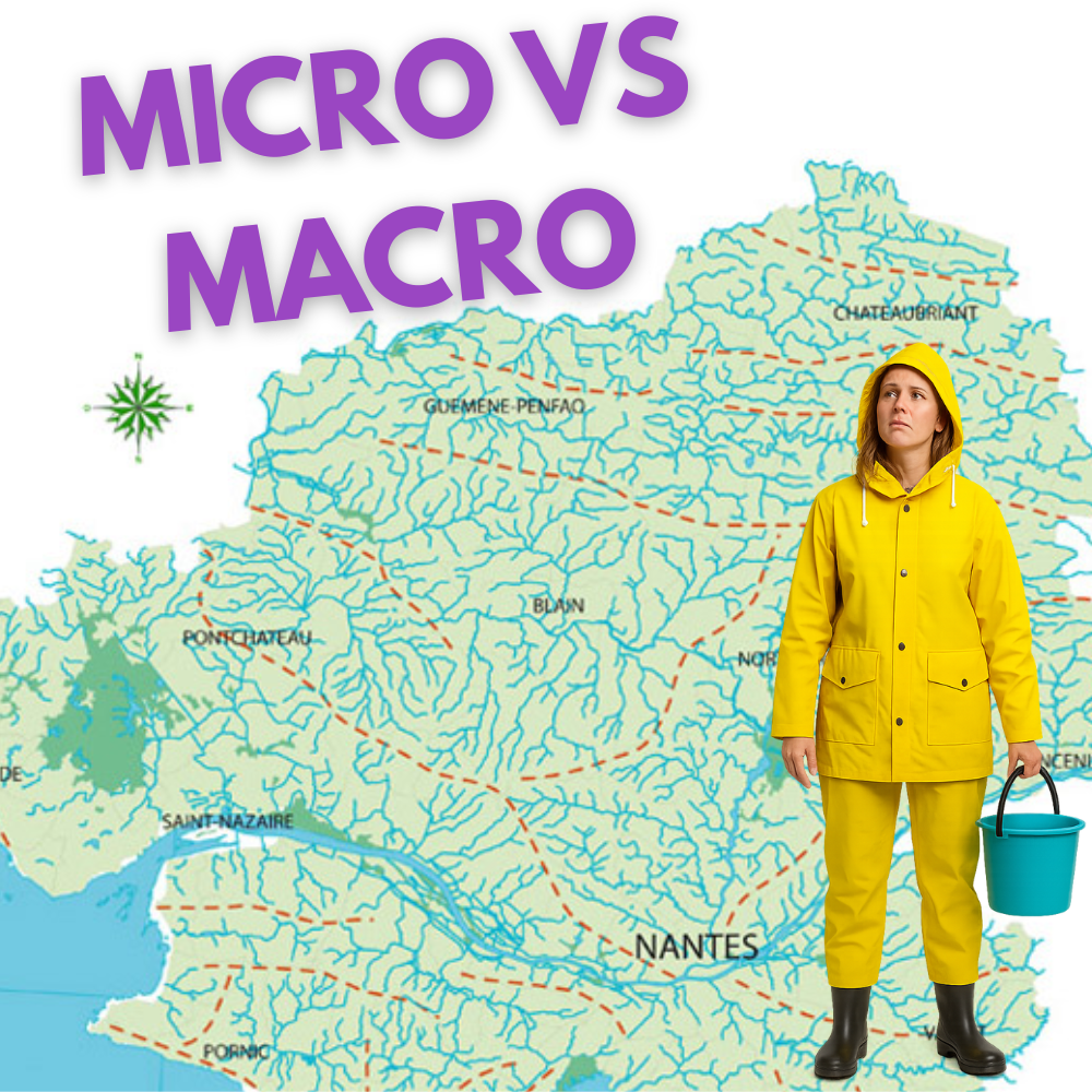 Lien entre flux financiers quotidiens et pilotage stratégique d'une entreprise TPE