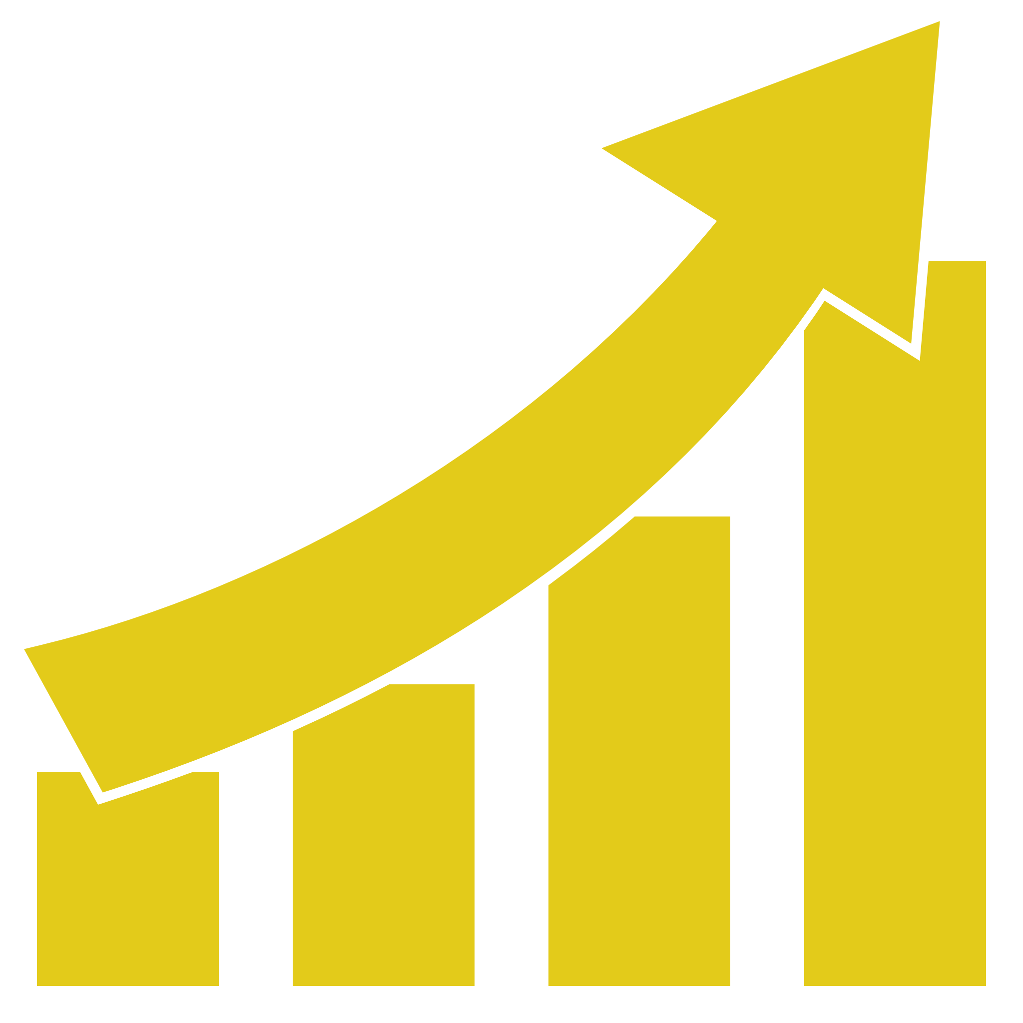 icone représentant des résultats forts et durables